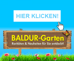 BALDUR-Garten - Raritäten und Neuheiten für Sie entdeckt